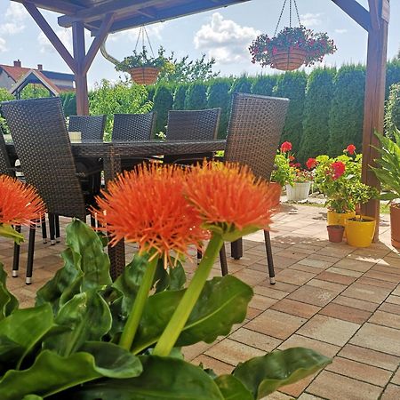 Hotel Zsuzsi Vendeghaz Zalaegerszeg Zewnętrze zdjęcie